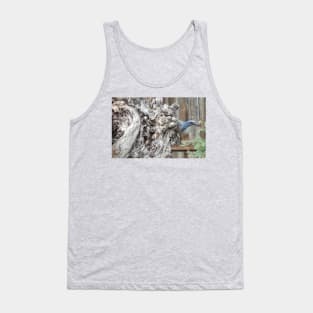 Scrub Jay on Sycamore Tree Tank Top